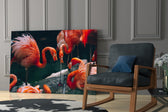 Flamingos artwork anchoring a wall with bold tropical palette
