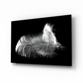 Macro-still panel bringing serene drama to a contemporary spa interior