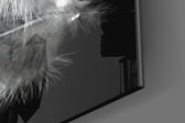 Feather panel catching low light to reveal its tactile down