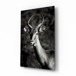 Monochrome-portrait panel bringing naturalist drama to a contemporary living space