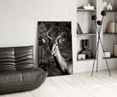 Impala glass print enhancing a foyer with editorial drama