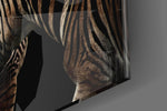 Zebras panel catching low light to reveal its tactile contrast