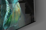 Betta Fish panel catching low light to reveal its tactile shimmer