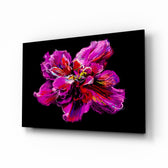 Pop-floral panel bringing romantic drama to a contemporary living space
