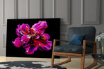 Magenta Bloom artwork anchoring a wall with bold romantic palette