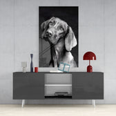 Innocent Dog Glass Wall Art.