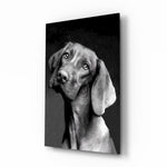 Monochrome-portrait panel bringing tender drama to a contemporary living space