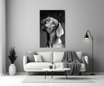 Tender Weimaraner glass wall art styled above a sofa in a living room