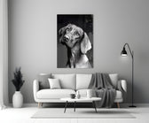Tender Weimaraner glass wall art styled above a sofa in a living room