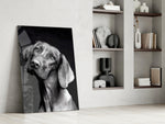 Tender Weimaraner artwork anchoring a wall with serene monochrome palette