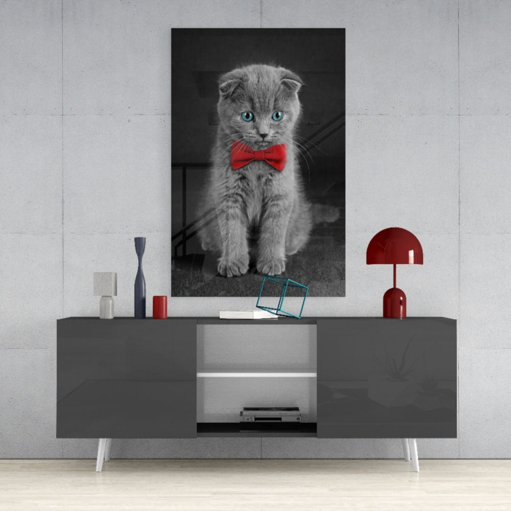 Cat Glass Wall Art.