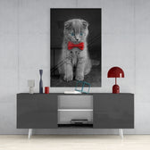 Cat Glass Wall Art.