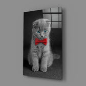 Bow-Tie Kitten close-up showing crimson bow against grey velvet fur
