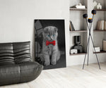 Bow-Tie Kitten glass print enhancing a hallway with editorial drama