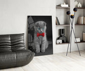 Bow-Tie Kitten glass print enhancing a hallway with editorial drama