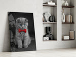 Bow-Tie Kitten artwork anchoring a wall with playful monochrome palette