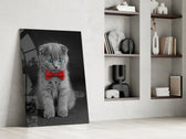 Bow-Tie Kitten artwork anchoring a wall with playful monochrome palette