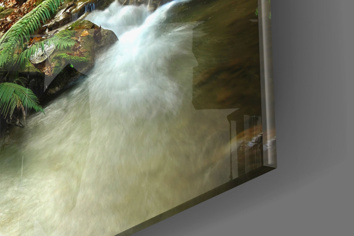 Forest Glass Wall Art.