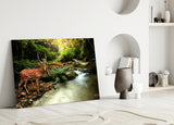 Forest Glass Wall Art
