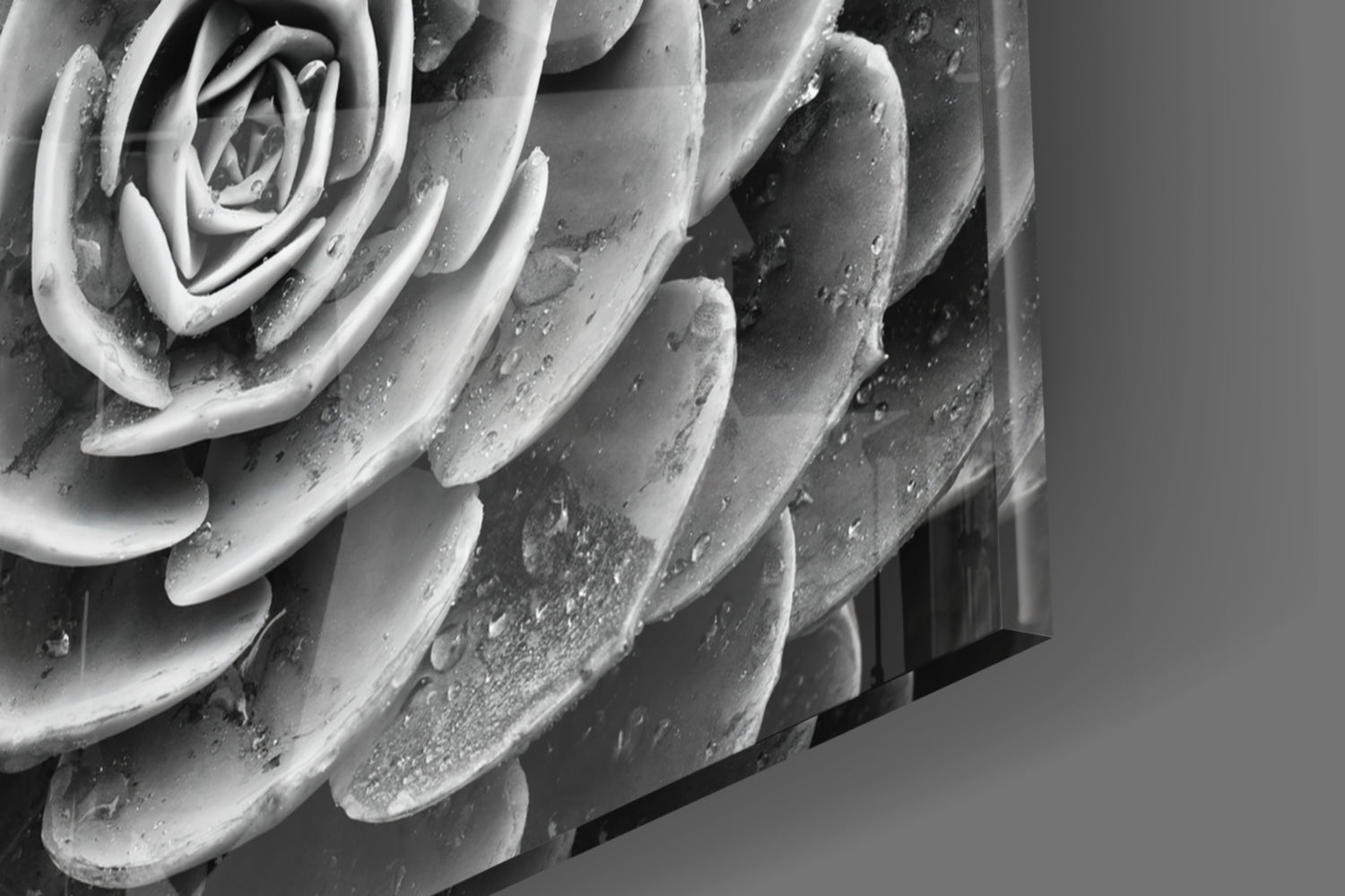 Flower Glass Wall Art.