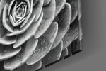 Silver Succulent panel catching window light to reveal its tactile dew