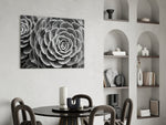 Silver Succulent glass print enhancing an office with editorial drama