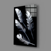 White Feathers close-up showing translucent vanes against velvet black