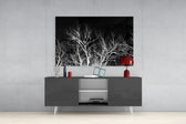 Night of the Tree Glass Wall Art.