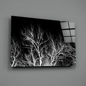 Night Trees close-up showing white twigs against velvet black sky