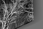 Night Trees panel catching window light to reveal its tactile twig