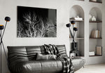 Night Trees panel adding calm mood to a hallway