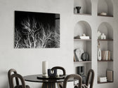 Night Trees glass print enhancing a living room with editorial drama