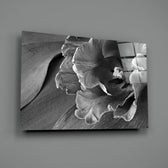 Monochrome Tulip close-up showing layered petal folds against soft grey