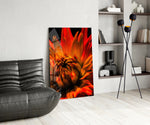 Fire Dahlia glass print enhancing a living room with cinematic drama