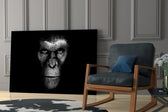 Chimp Gaze artwork anchoring a wall with moody primate palette