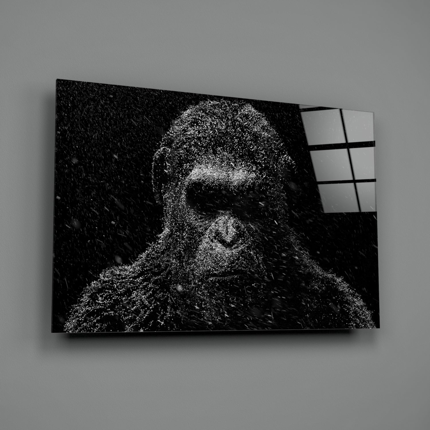 Gorilla Glass Wall Art.