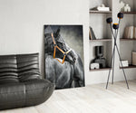 Black Stallion glass print enhancing a study with cinematic drama