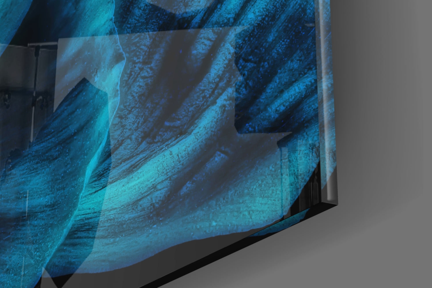 Malvales Flower Glass Wall Art.