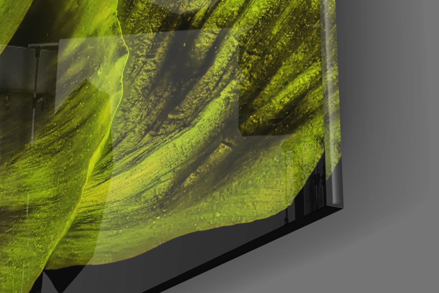 Malvales Flower Glass Wall Art.