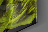 Malvales Flower panel catching window light to reveal its luminous freshness