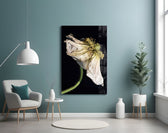 Flower panel adding editorial mood to a study