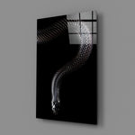 Snake close-up showing silver-edged scales of coiling serpent