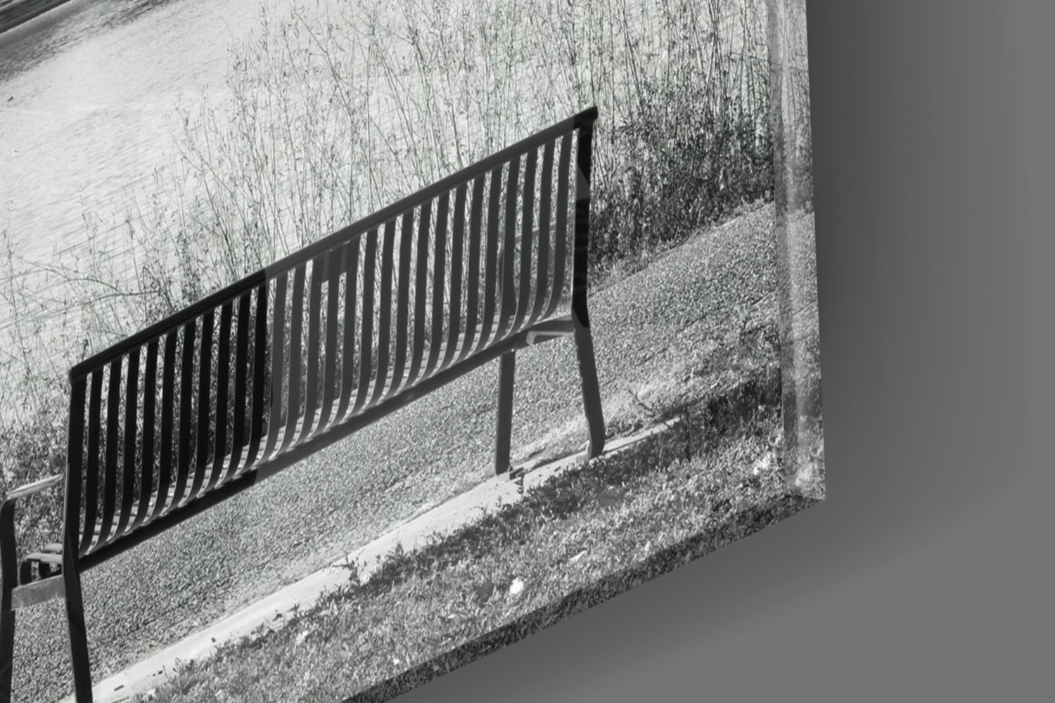 Yellow Tree Glass Wall Art.