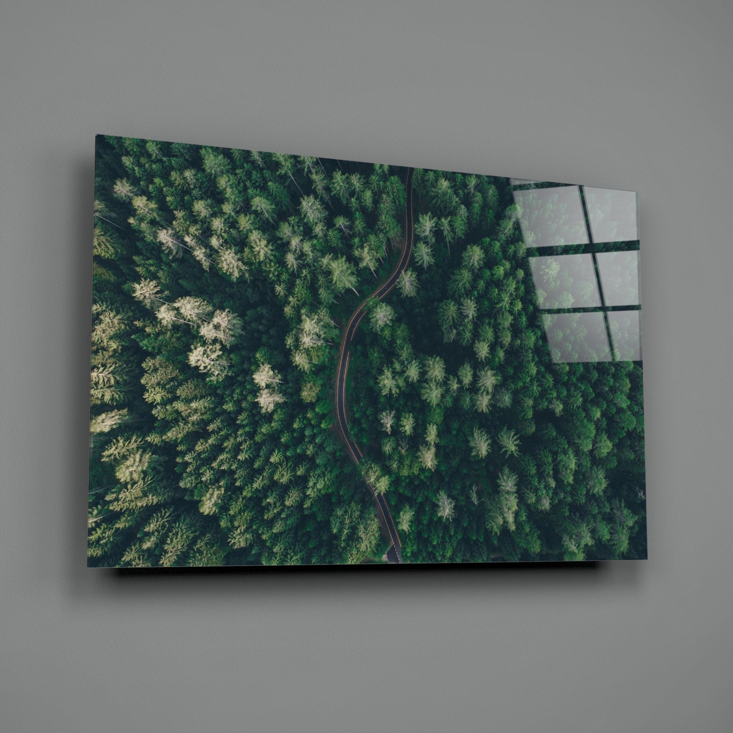 Forest Glass Wall Art.