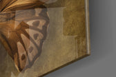 Butterfly panel catching window light to reveal its warm patina