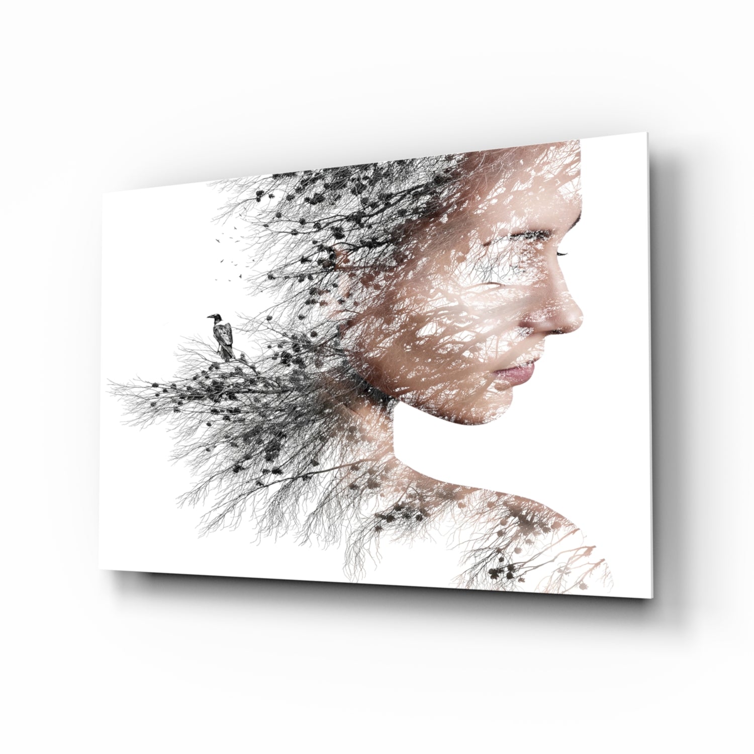 Woman Bird Glass Wall Art.
