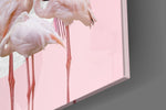 Flamingo panel catching window light to reveal its luminous calm