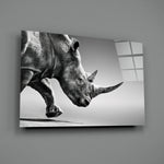 Black Rhino close-up showing charging rhinoceros with shadowed hide on pearl ground