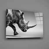 Black Rhino close-up showing charging rhinoceros with shadowed hide on pearl ground