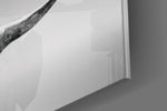 Black Rhino panel catching window light to reveal its tonal contrast